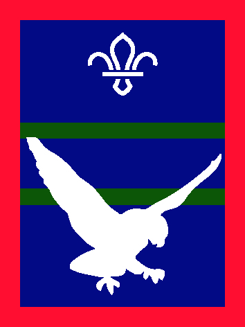 A Falcon scout badge on a blue and green background.